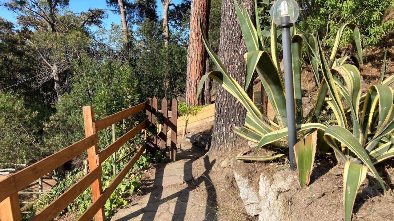 Casa Sprizze Lägenhet Marciana Marina  Exteriör bild